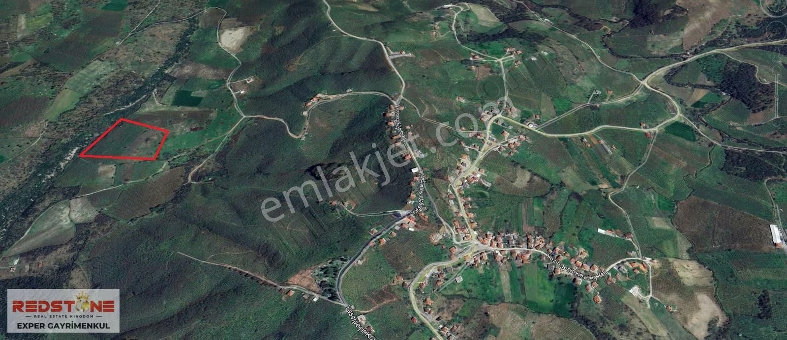 Karasu Yassıgeçit Yola Yakın Toplam 34 Dönüm 20si Fındıklık - Görsel 5