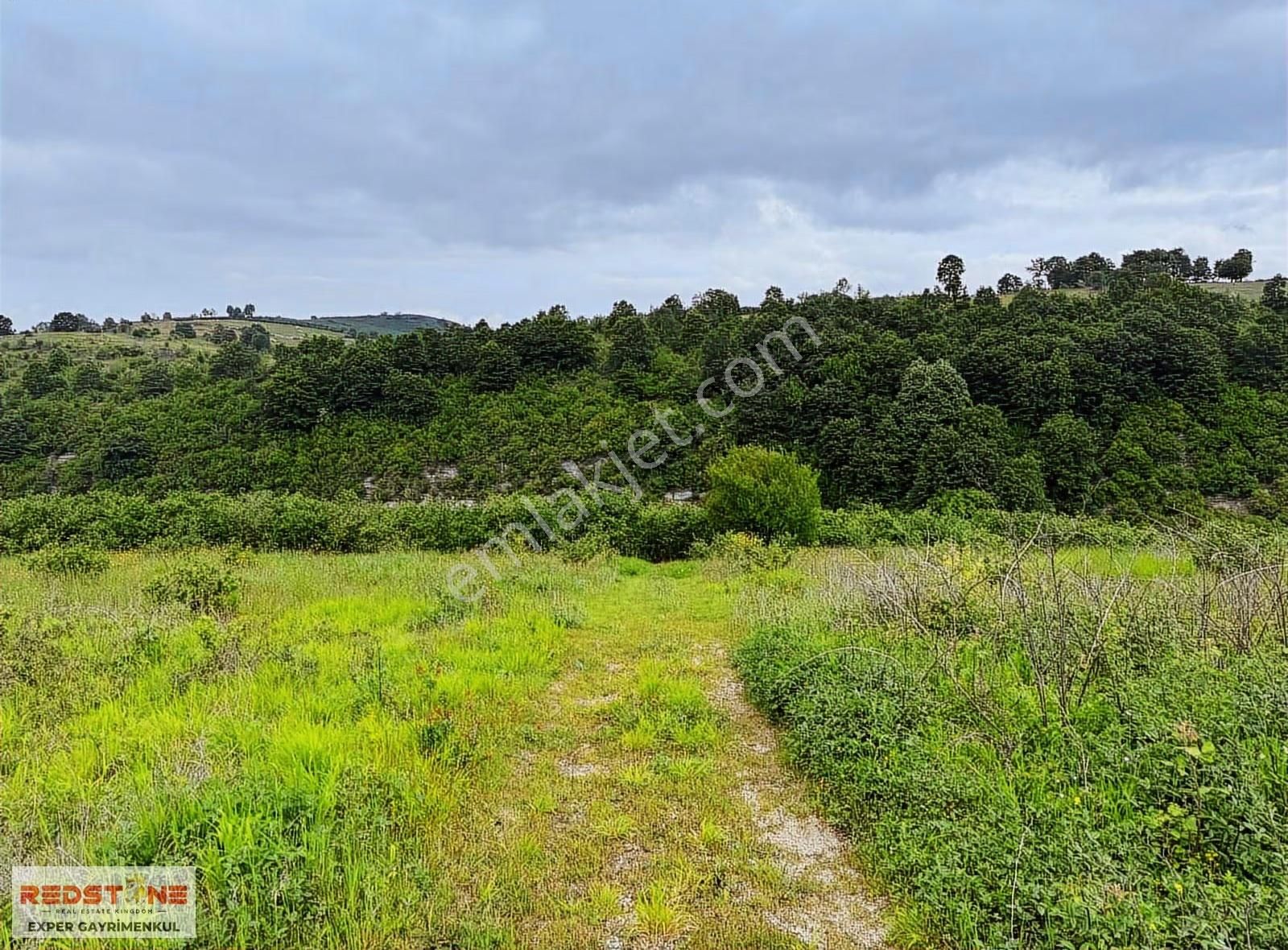 Karasu Yassıgeçit Yola Yakın Toplam 34 Dönüm 20si Fındıklık - Görsel 4