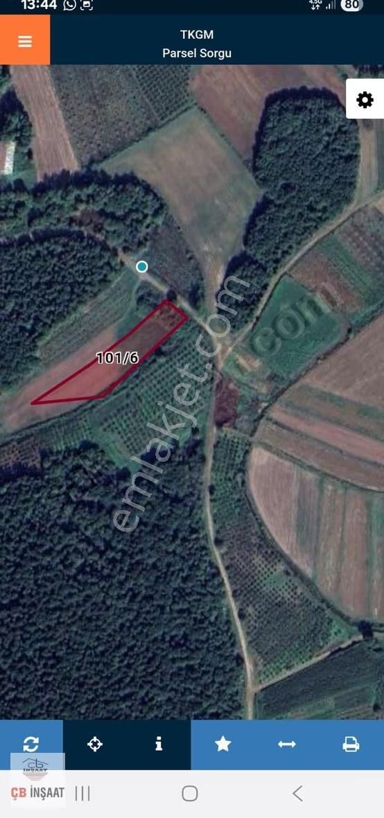 Sakarya Kaynarca Gürpınar'da Tek Tapu 3.450m2 Satılık Tarla - Görsel 3