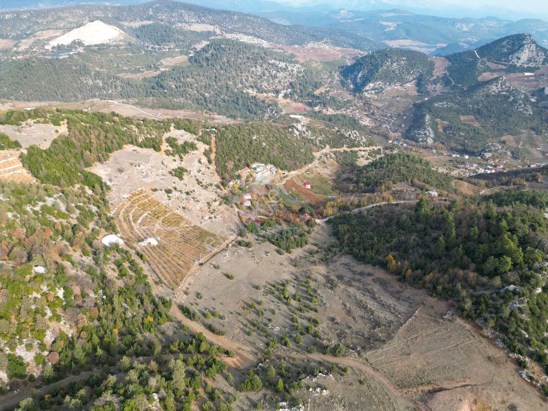 Üstünkent Emlak'tan Sunturas Yaylası Civarı 10.875 M2 Tarla - Görsel 5