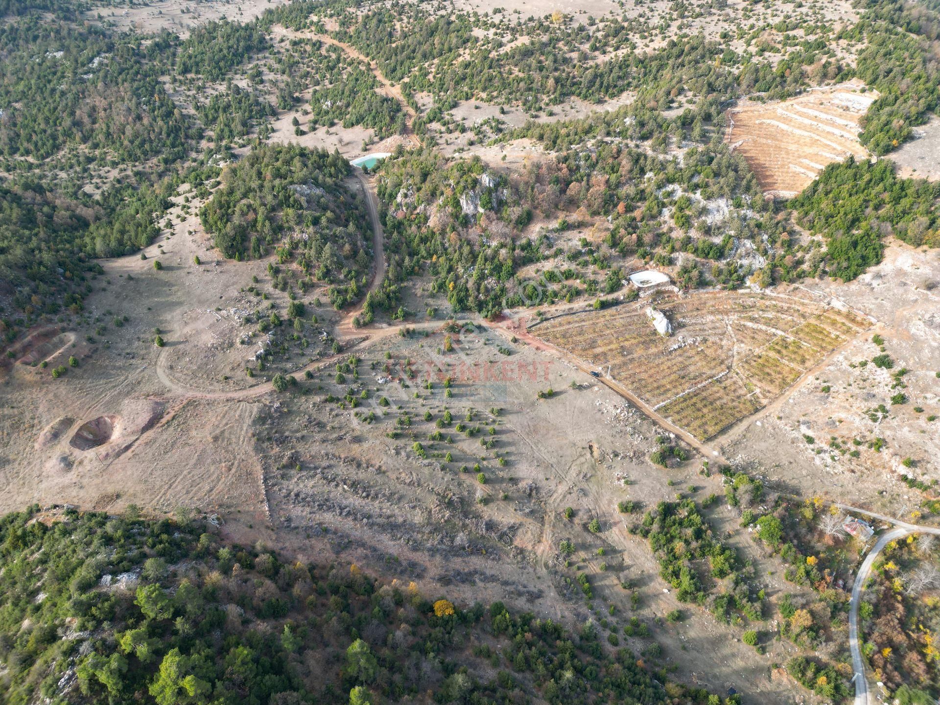 Üstünkent Emlak'tan Sunturas Yaylası Civarı 10.875 M2 Tarla - Görsel 8