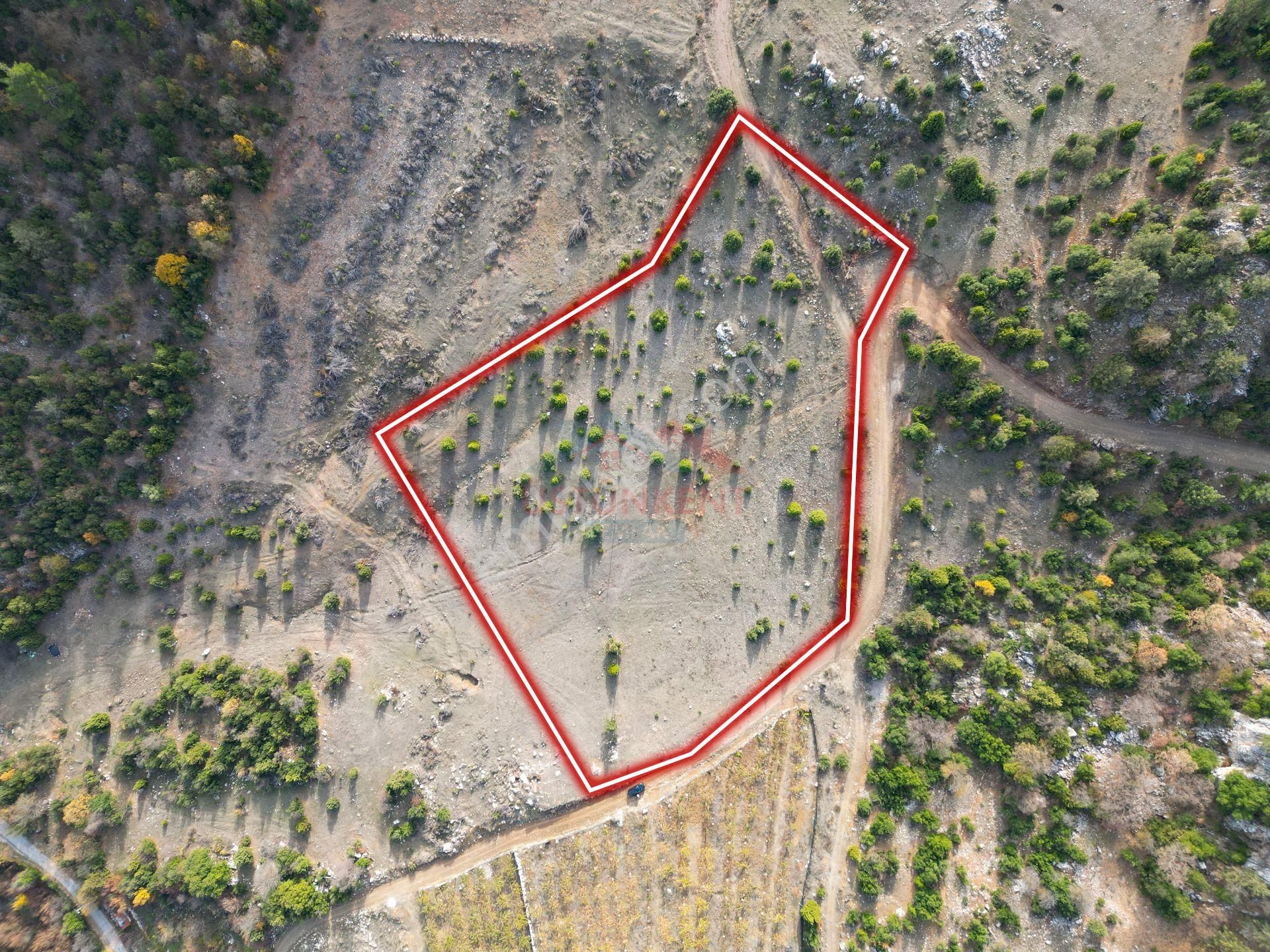 Üstünkent Emlak'tan Sunturas Yaylası Civarı 10.875 M2 Tarla