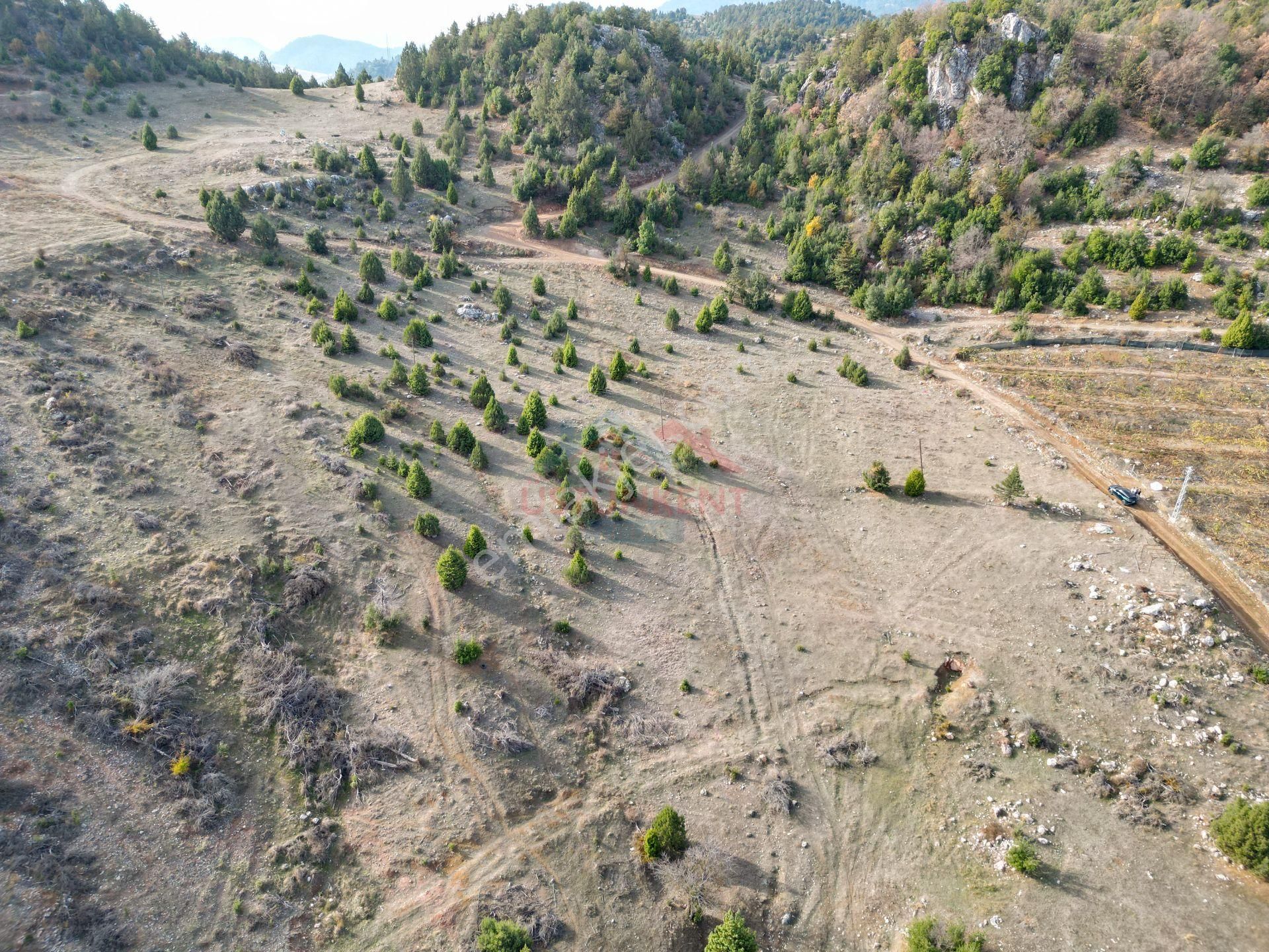 Üstünkent Emlak'tan Sunturas Yaylası Civarı 10.875 M2 Tarla - Görsel 14