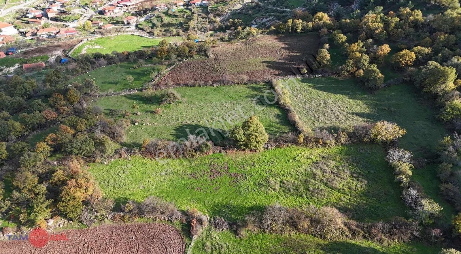 Kınık Örtülü Köyü Köy Sınırı Satılık Arsa - Görsel 10
