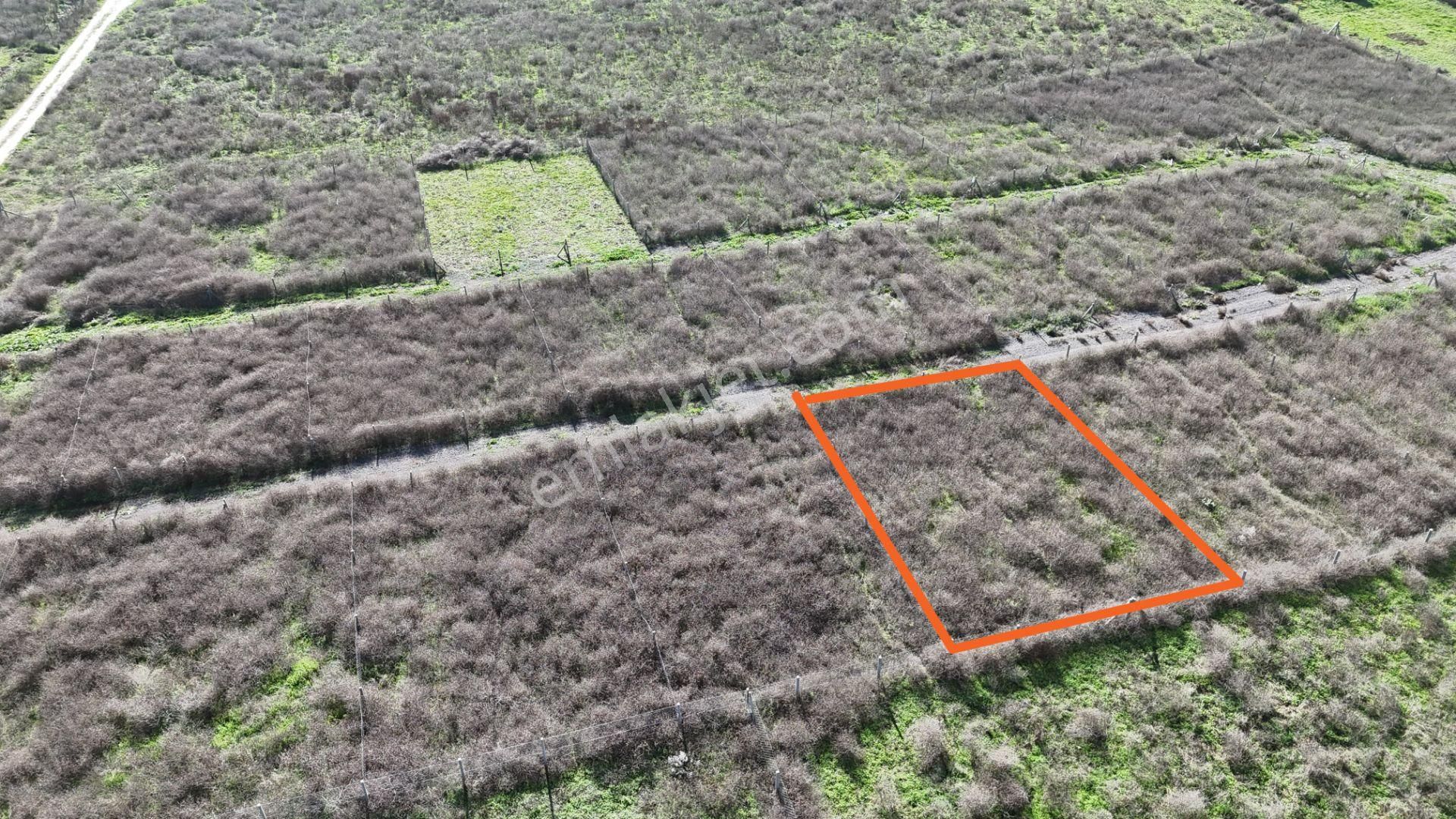 İzmir Menderes Şaşalda 300 M2 Hisse Tapulu Rızayı Taksimli Arsa - Görsel 21