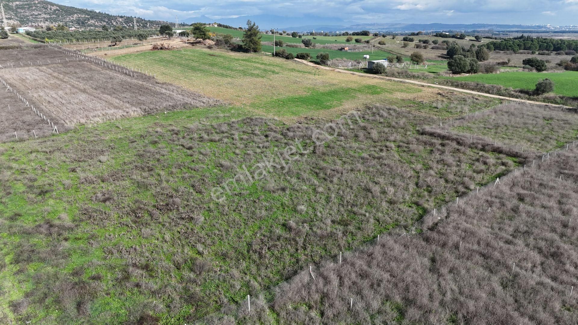 İzmir Menderes Şaşalda 300 M2 Hisse Tapulu Rızayı Taksimli Arsa - Görsel 32