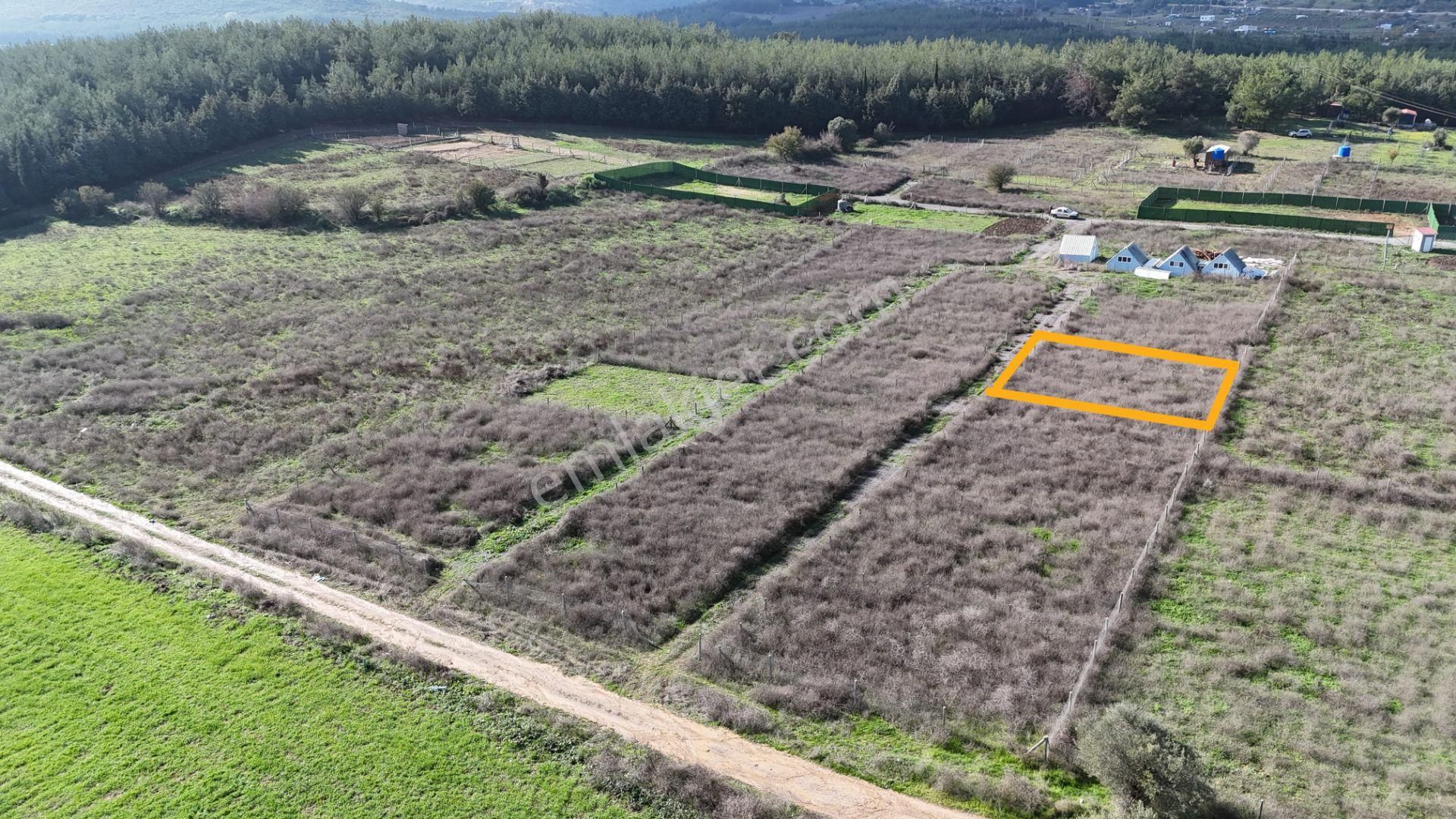 İzmir Menderes Şaşalda 300 M2 Hisse Tapulu Rızayı Taksimli Arsa - Görsel 5