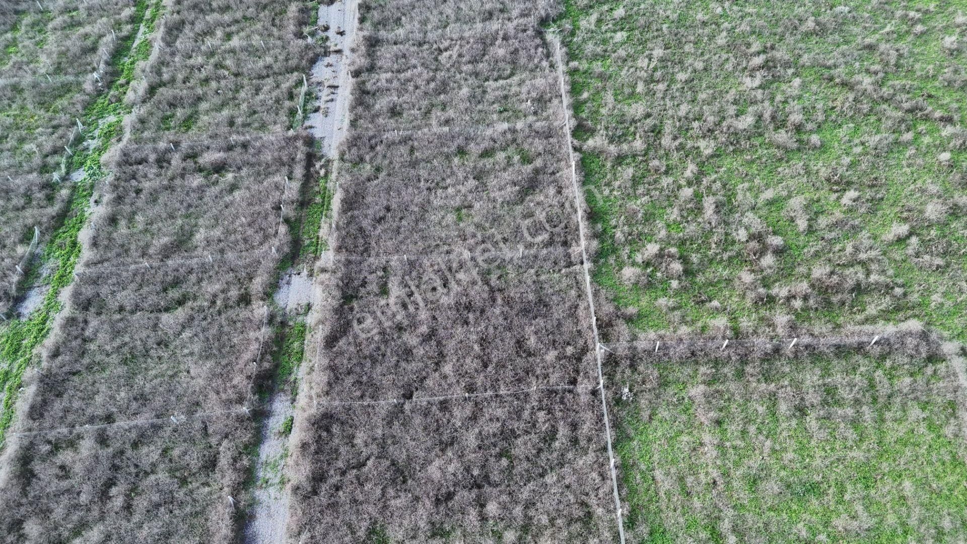 İzmir Menderes Şaşalda 300 M2 Hisse Tapulu Rızayı Taksimli Arsa - Görsel 19