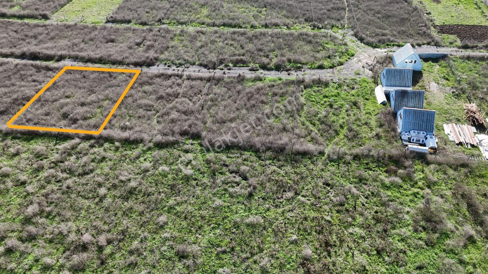 İzmir Menderes Şaşalda 300 M2 Hisse Tapulu Rızayı Taksimli Arsa - Görsel 10