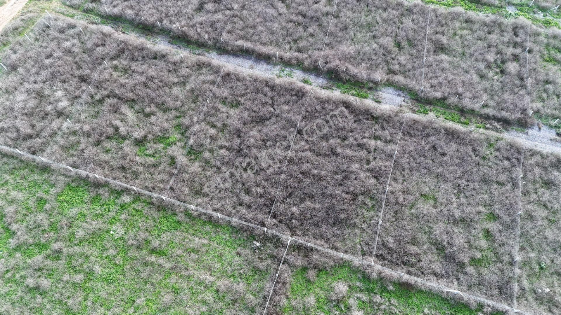 İzmir Menderes Şaşalda 300 M2 Hisse Tapulu Rızayı Taksimli Arsa - Görsel 29