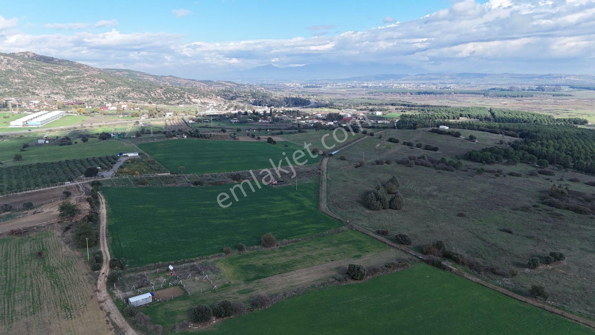 İzmir Menderes Şaşalda 300 M2 Hisse Tapulu Rızayı Taksimli Arsa - Görsel 18