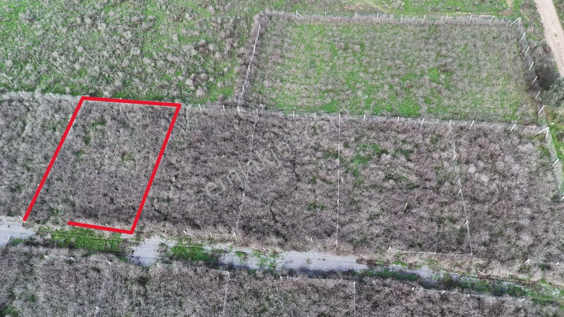 İzmir Menderes Şaşalda 300 M2 Hisse Tapulu Rızayı Taksimli Arsa - Görsel 3