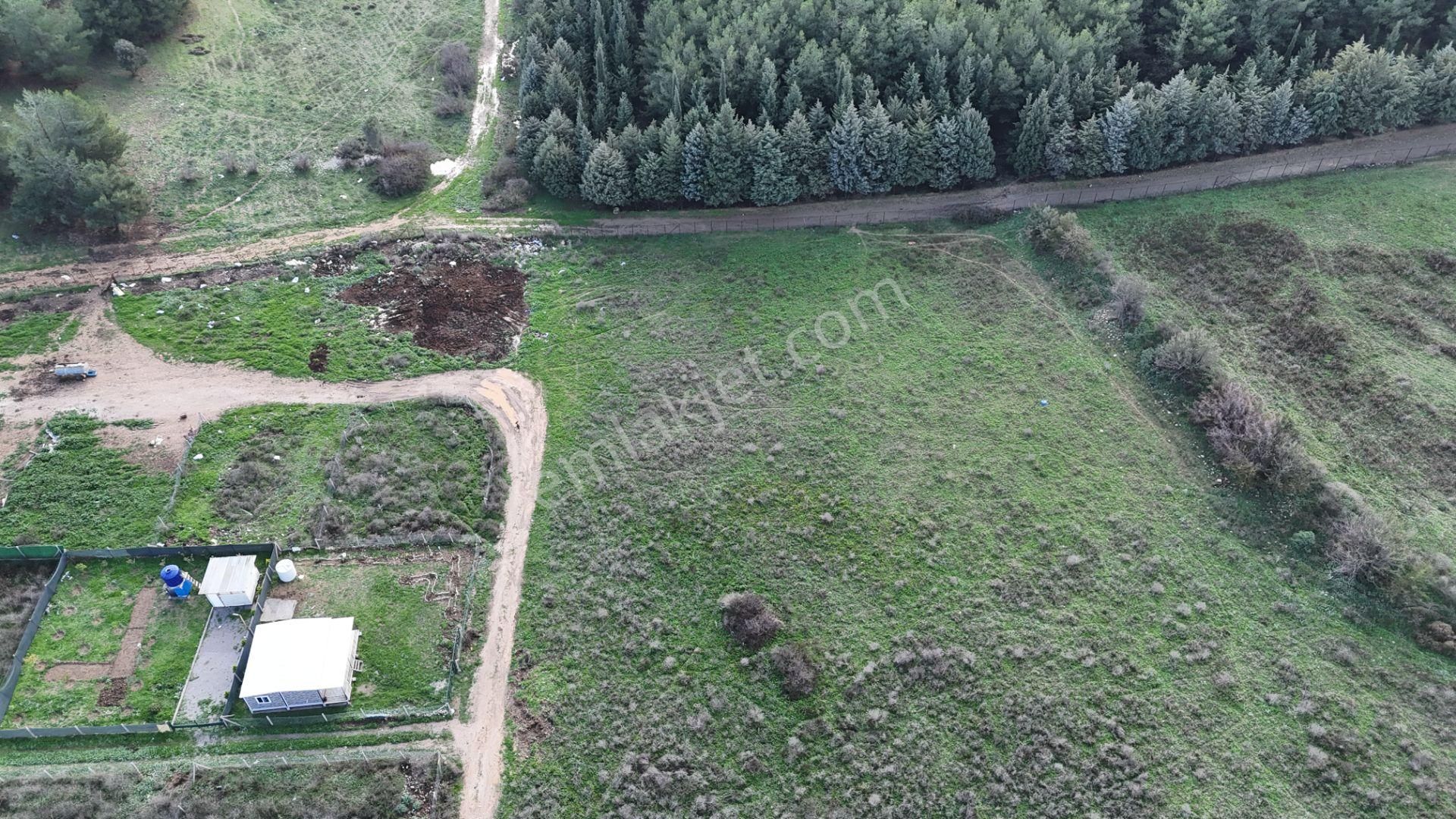 İzmir Menderes Şaşalda 300 M2 Hisse Tapulu Rızayı Taksimli Arsa - Görsel 22