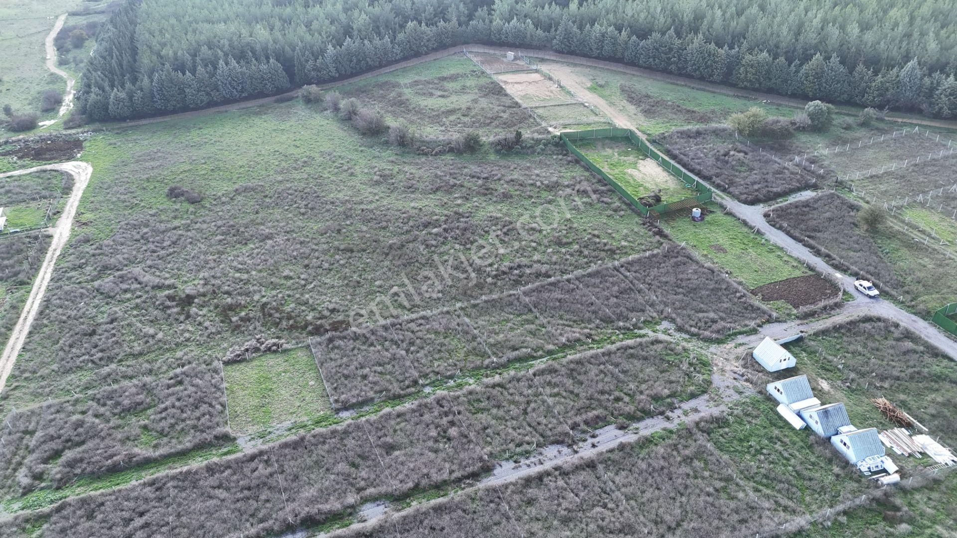 İzmir Menderes Şaşalda 300 M2 Hisse Tapulu Rızayı Taksimli Arsa - Görsel 30