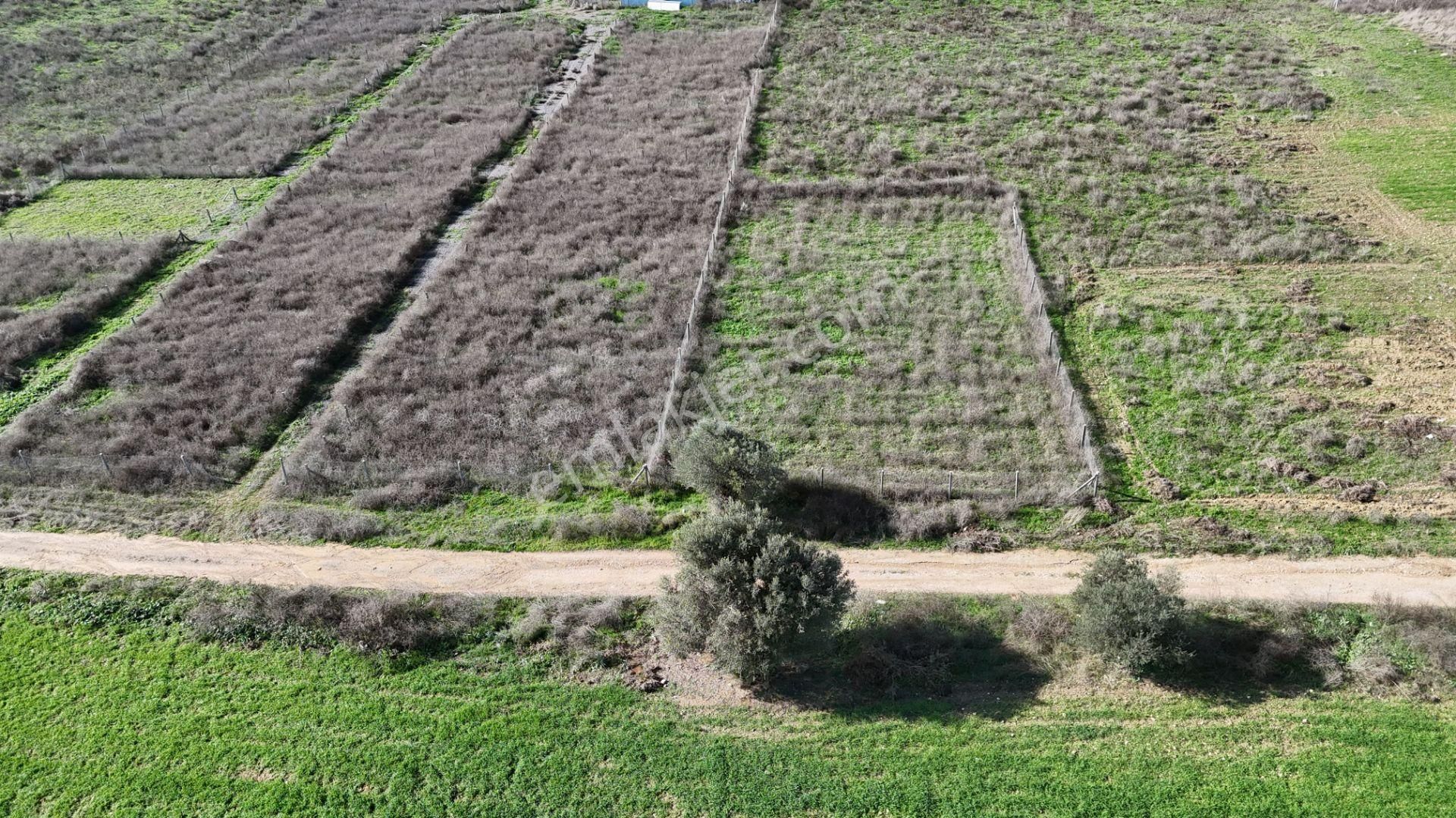 İzmir Menderes Şaşalda 300 M2 Hisse Tapulu Rızayı Taksimli Arsa - Görsel 15