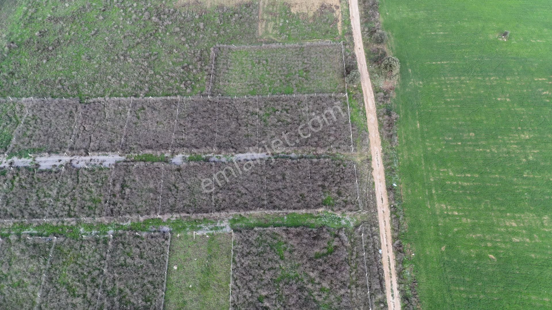 İzmir Menderes Şaşalda 300 M2 Hisse Tapulu Rızayı Taksimli Arsa - Görsel 24