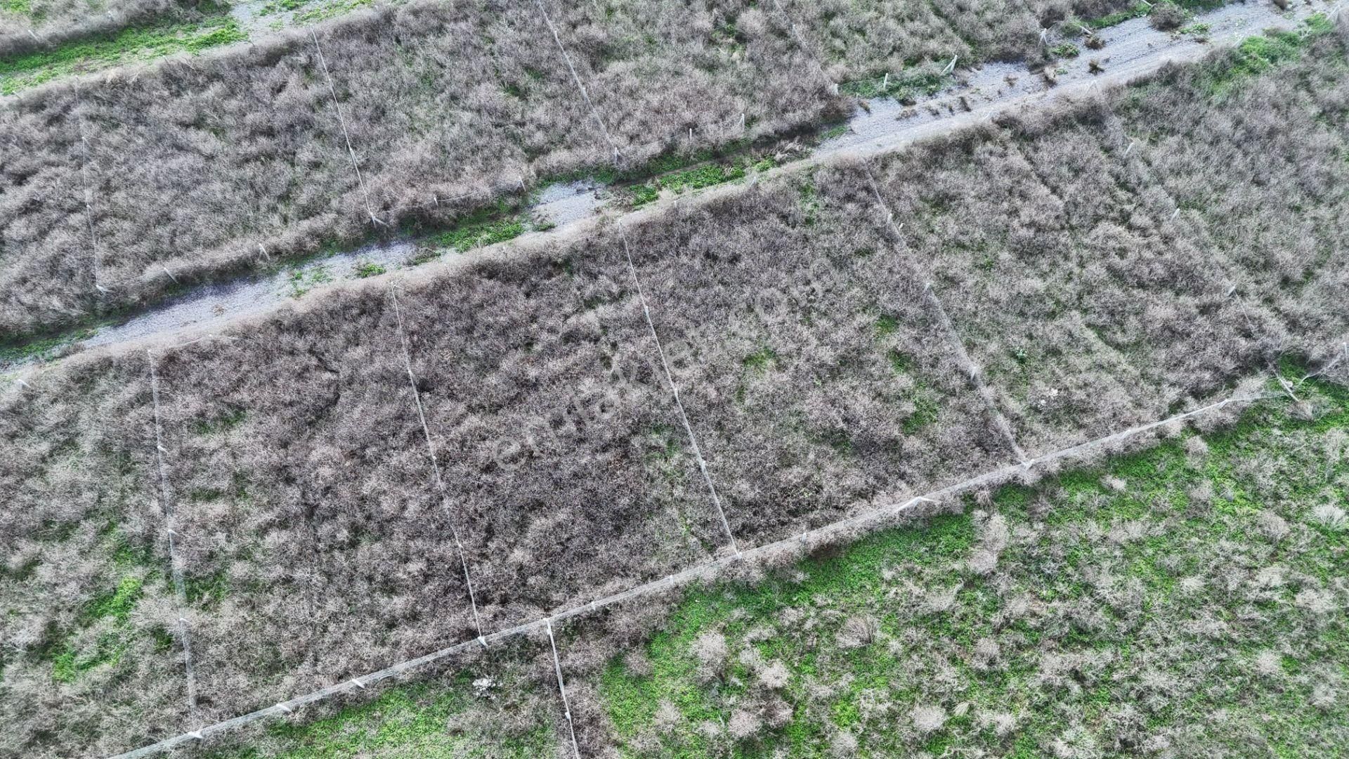 İzmir Menderes Şaşalda 300 M2 Hisse Tapulu Rızayı Taksimli Arsa - Görsel 26