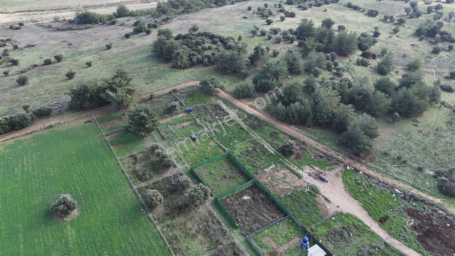 İzmir Menderes Şaşalda 300 M2 Hisse Tapulu Rızayı Taksimli Arsa - Görsel 27