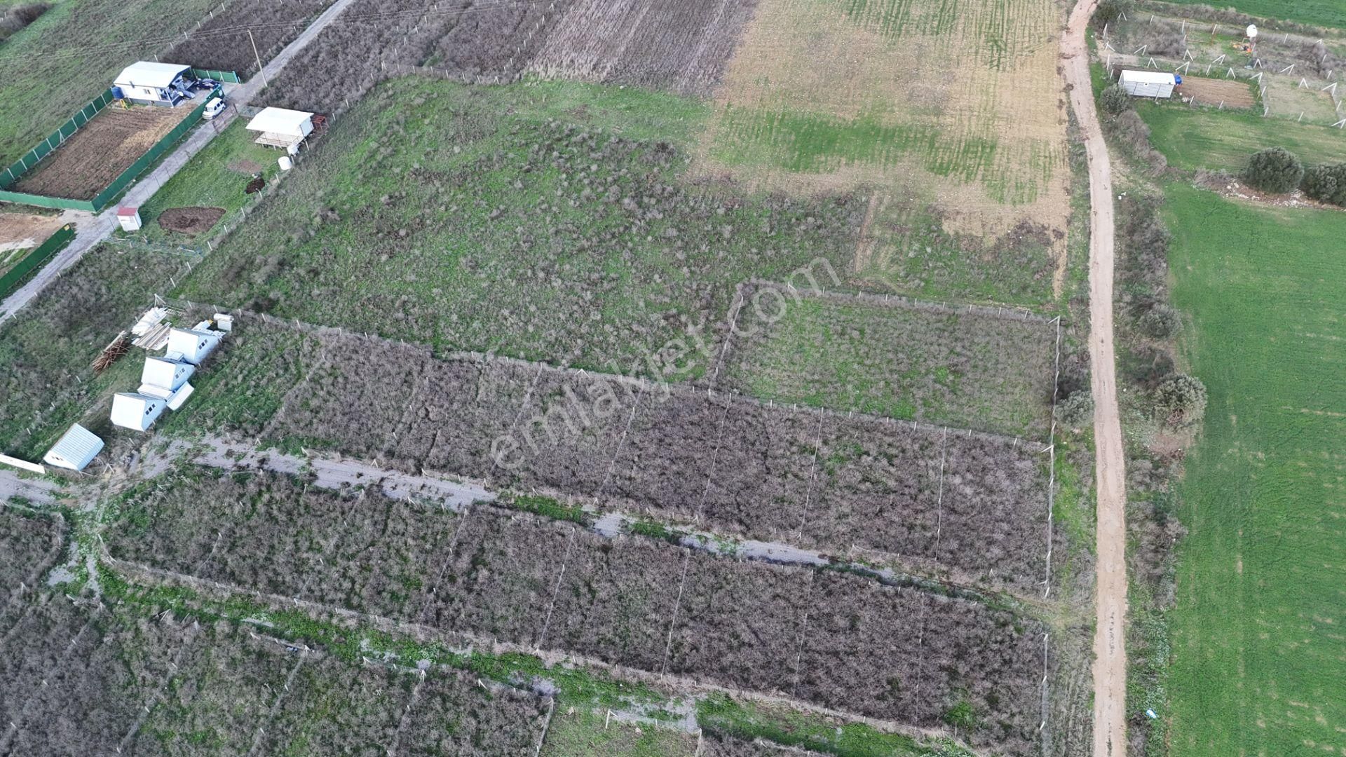 İzmir Menderes Şaşalda 300 M2 Hisse Tapulu Rızayı Taksimli Arsa - Görsel 16