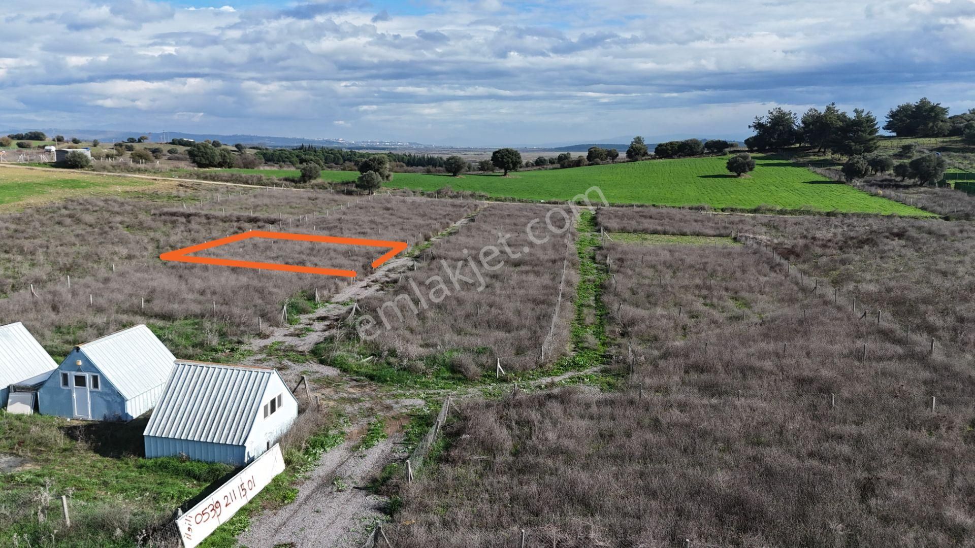 İzmir Menderes Şaşalda 300 M2 Hisse Tapulu Rızayı Taksimli Arsa - Görsel 13