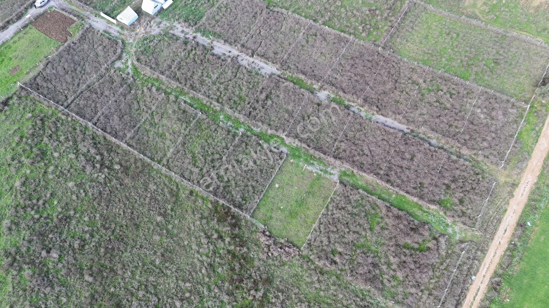 İzmir Menderes Şaşalda 300 M2 Hisse Tapulu Rızayı Taksimli Arsa - Görsel 35