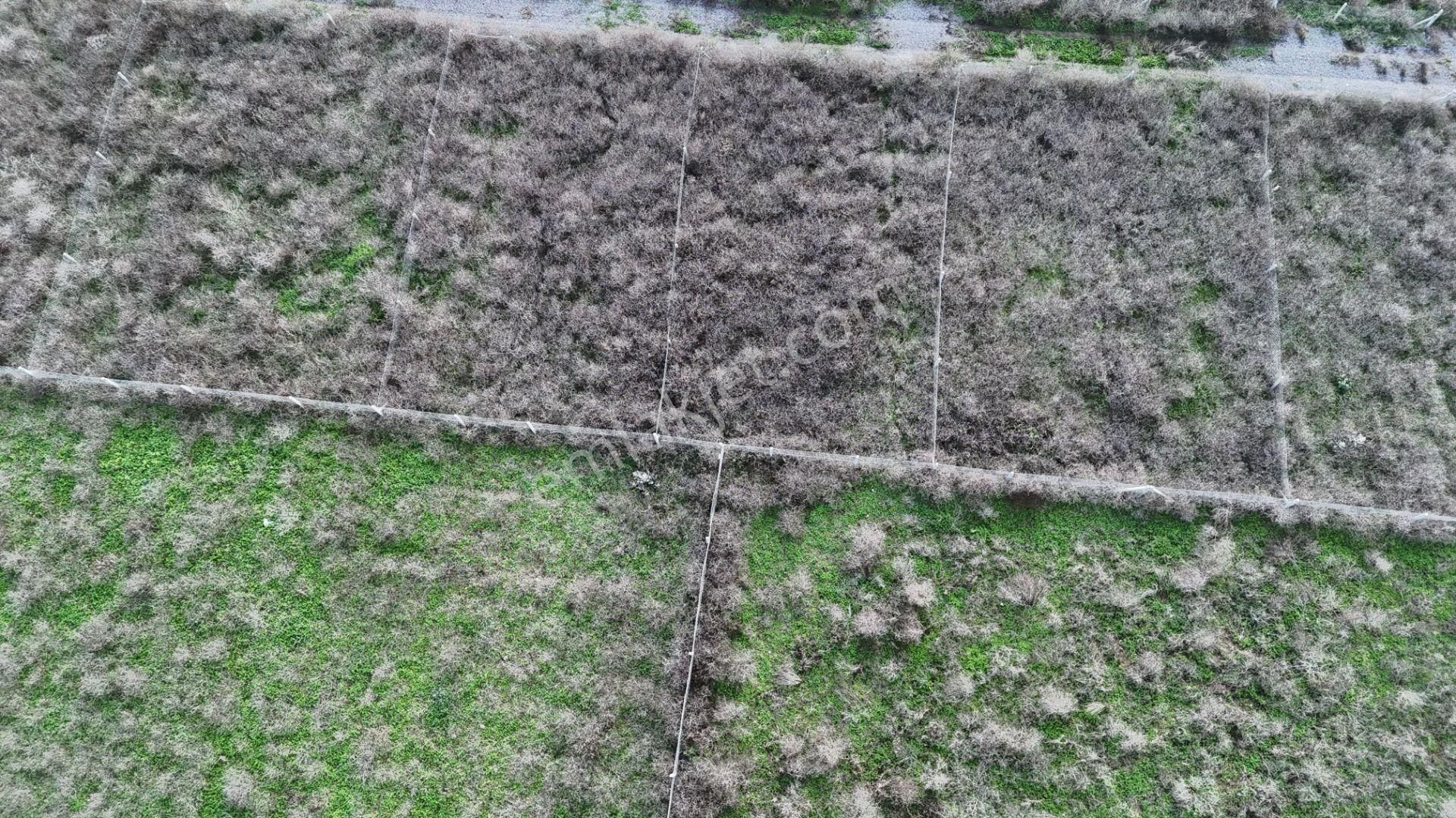 İzmir Menderes Şaşalda 300 M2 Hisse Tapulu Rızayı Taksimli Arsa - Görsel 33