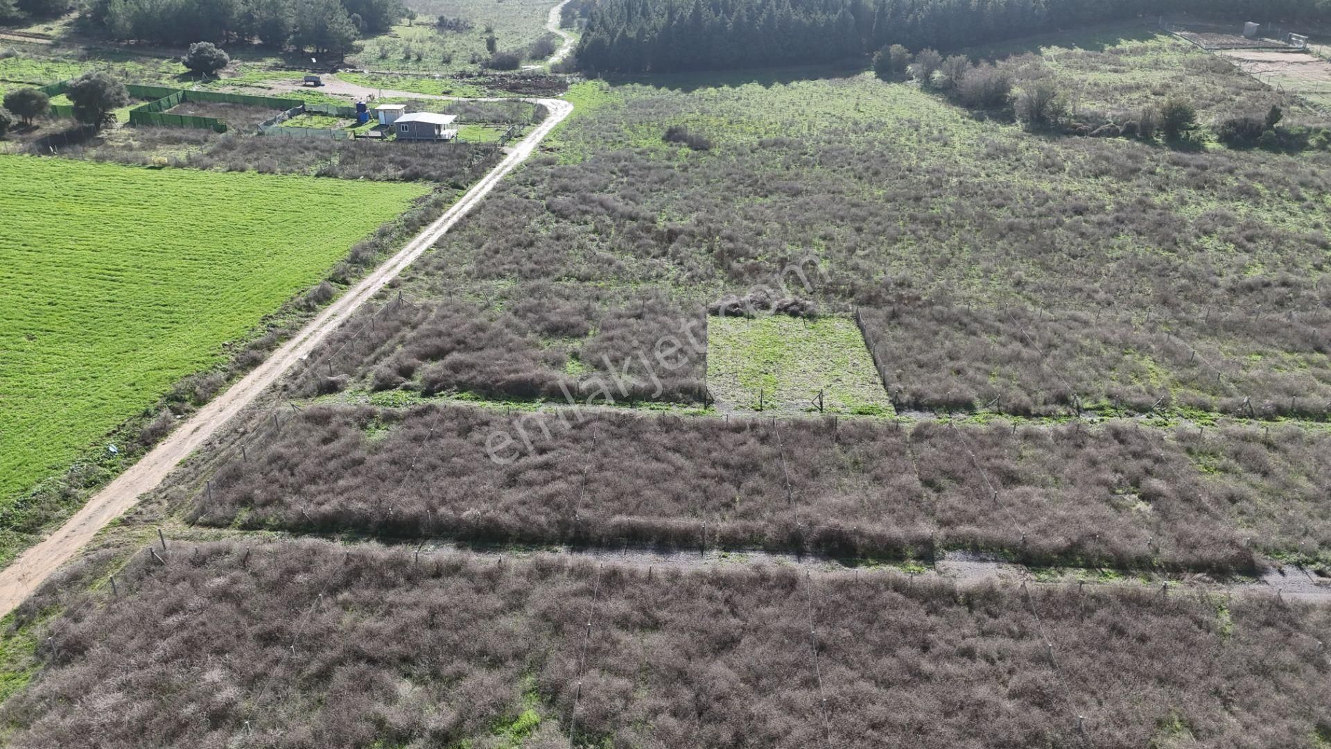 İzmir Menderes Şaşalda 300 M2 Hisse Tapulu Rızayı Taksimli Arsa - Görsel 31