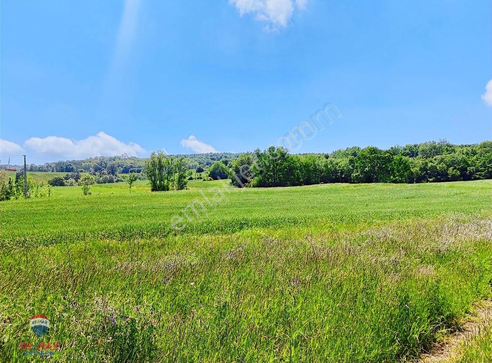 Remax Modern Yunus Emre'den Satılık Çatmaoluk'da Tarla - Görsel 3