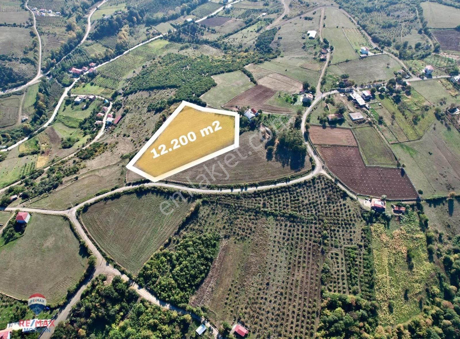 Atakum Taflan İmar Sınırında Önü Kapanmaz Emsalsiz Tarla - Görsel 3