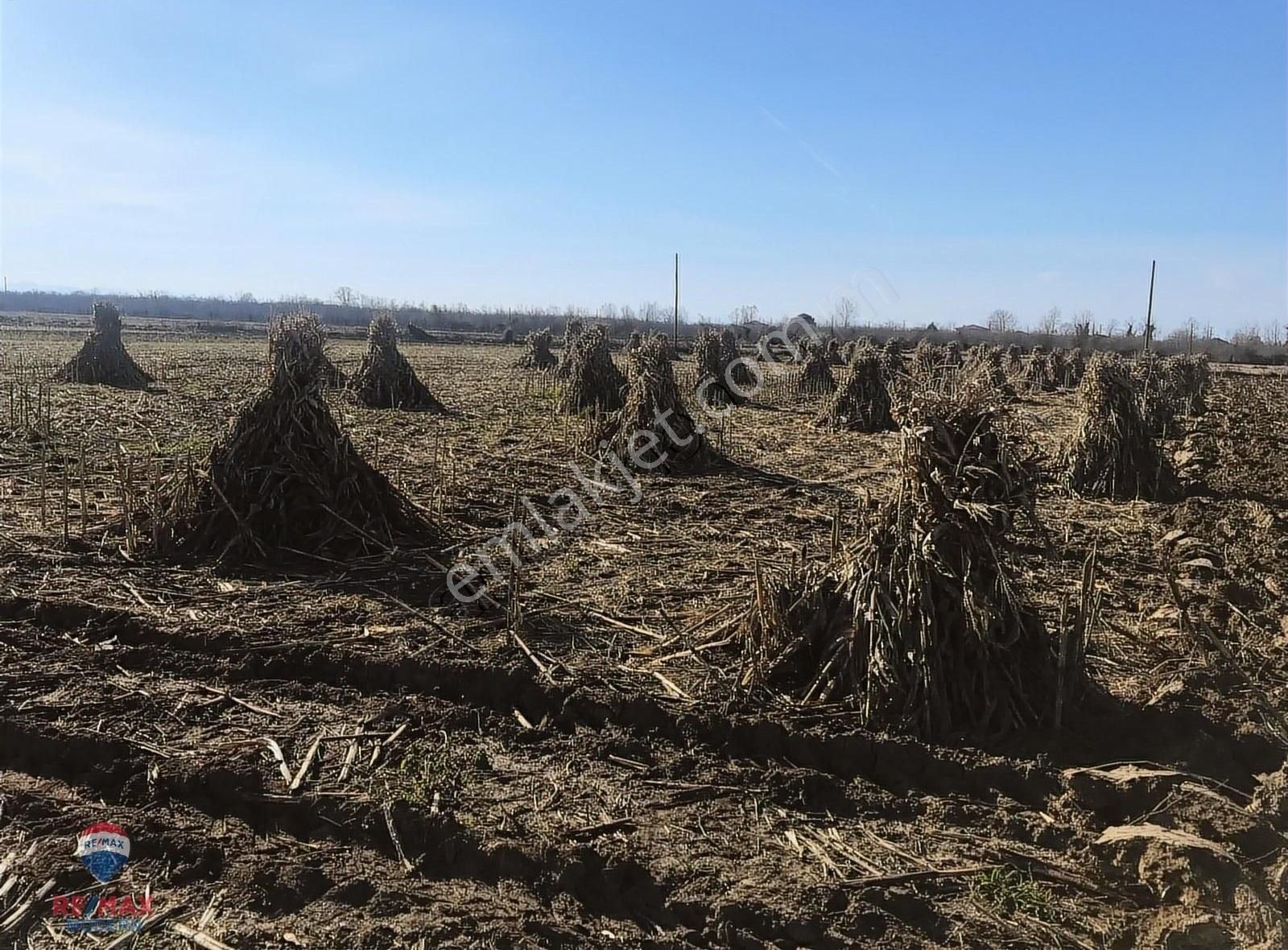 Remax-modern Havva Demir'den Tarım Arazisi (tarla) - Görsel 17