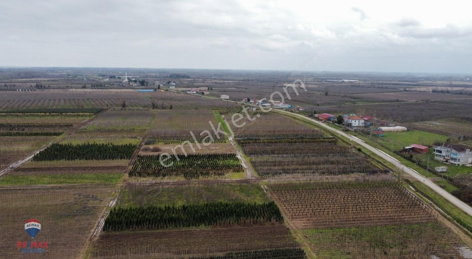 Remax-modern Havva Demir'den Tarım Arazisi (tarla) - Görsel 22