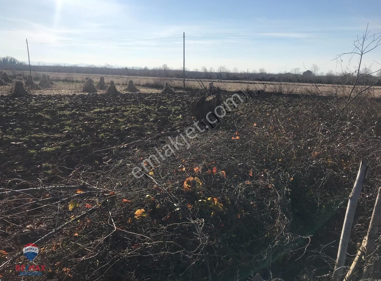 Remax-modern Havva Demir'den Tarım Arazisi (tarla) - Görsel 9