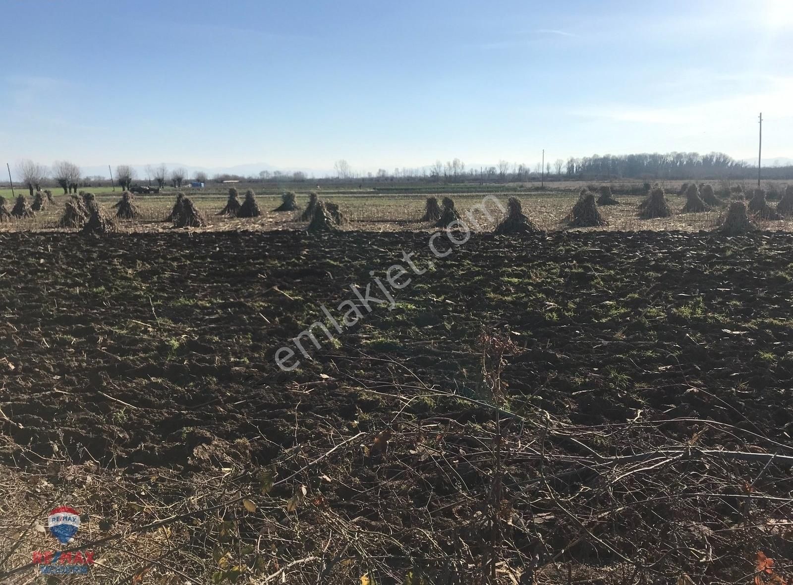 Remax-modern Havva Demir'den Tarım Arazisi (tarla) - Görsel 8