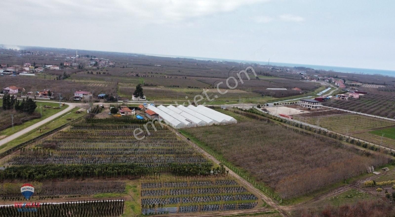 Remax-modern Havva Demir'den Tarım Arazisi (tarla) - Görsel 20