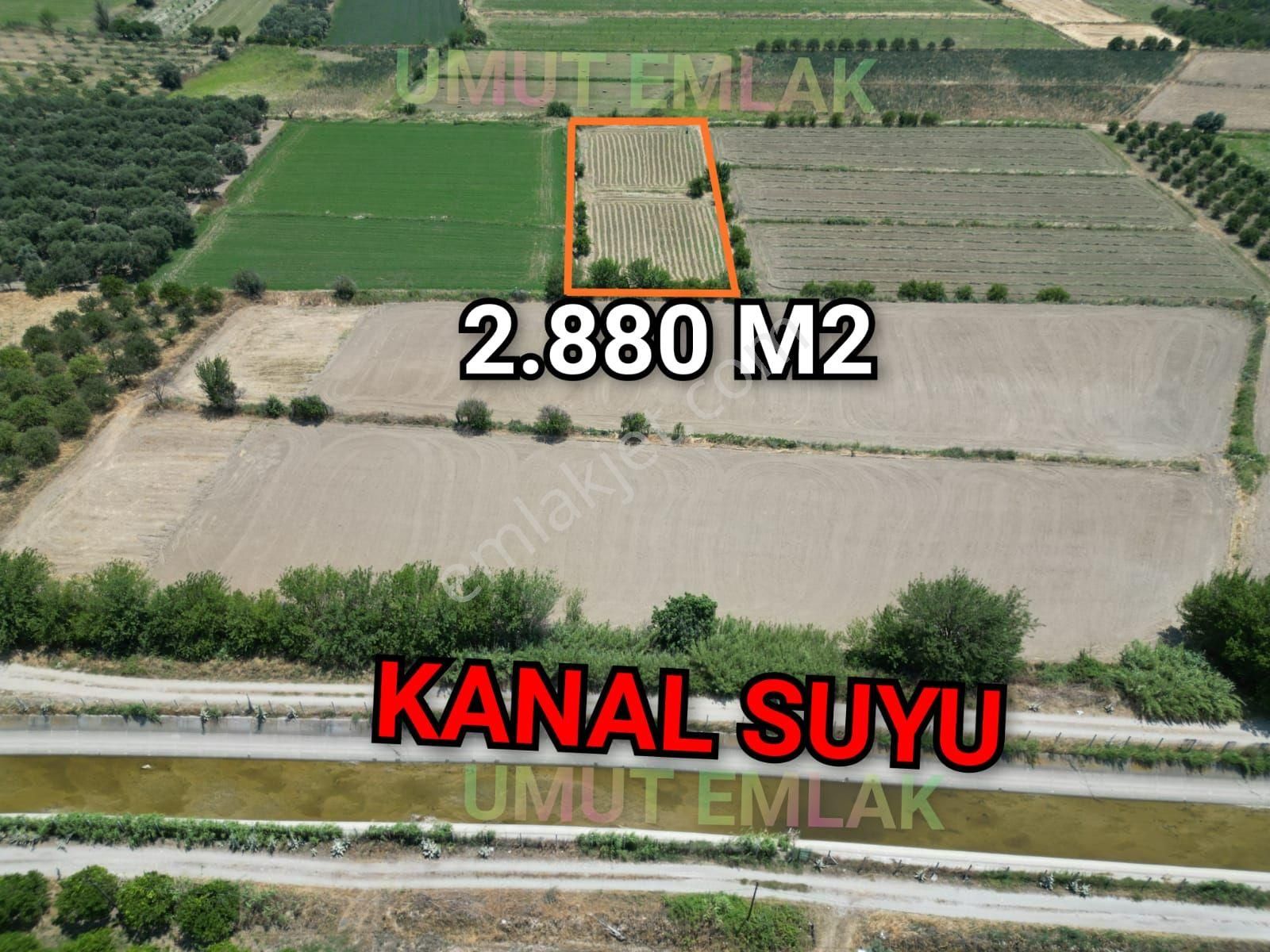 Bedavadan Biraz Pahalı Tarlw - Görsel 2