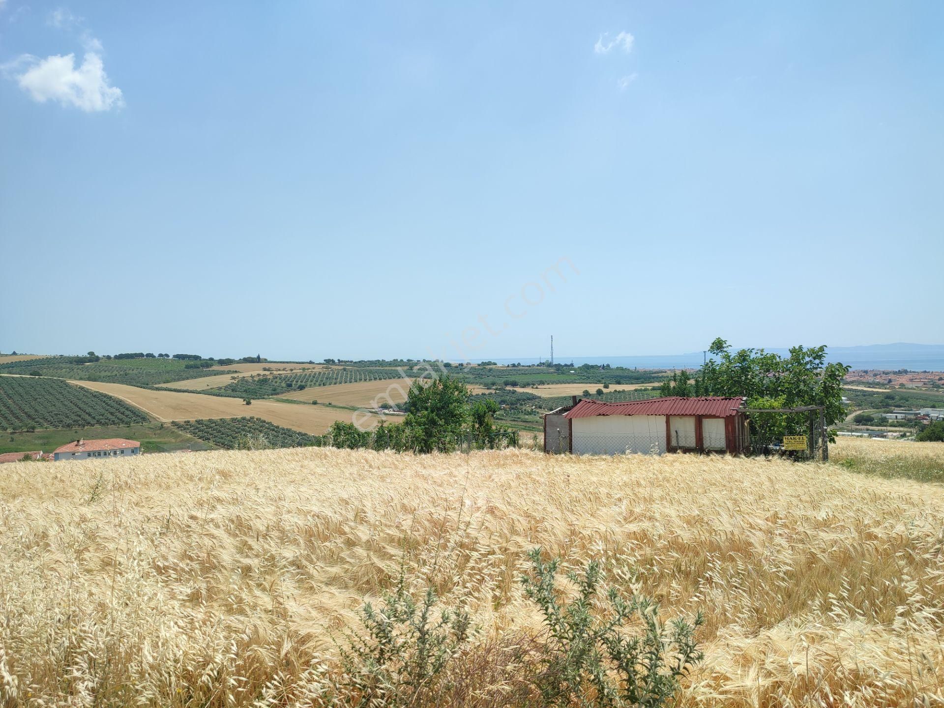Bulut Yatırımdan 300 M² % 25 İmarlı Deniz Manzaralı Arsa - Görsel 16
