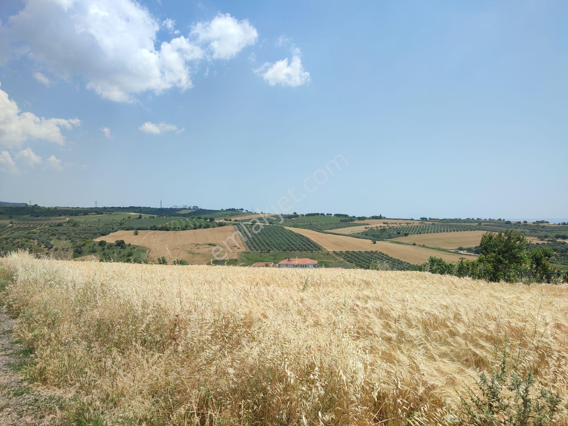 Bulut Yatırımdan 300 M² % 25 İmarlı Deniz Manzaralı Arsa - Görsel 15