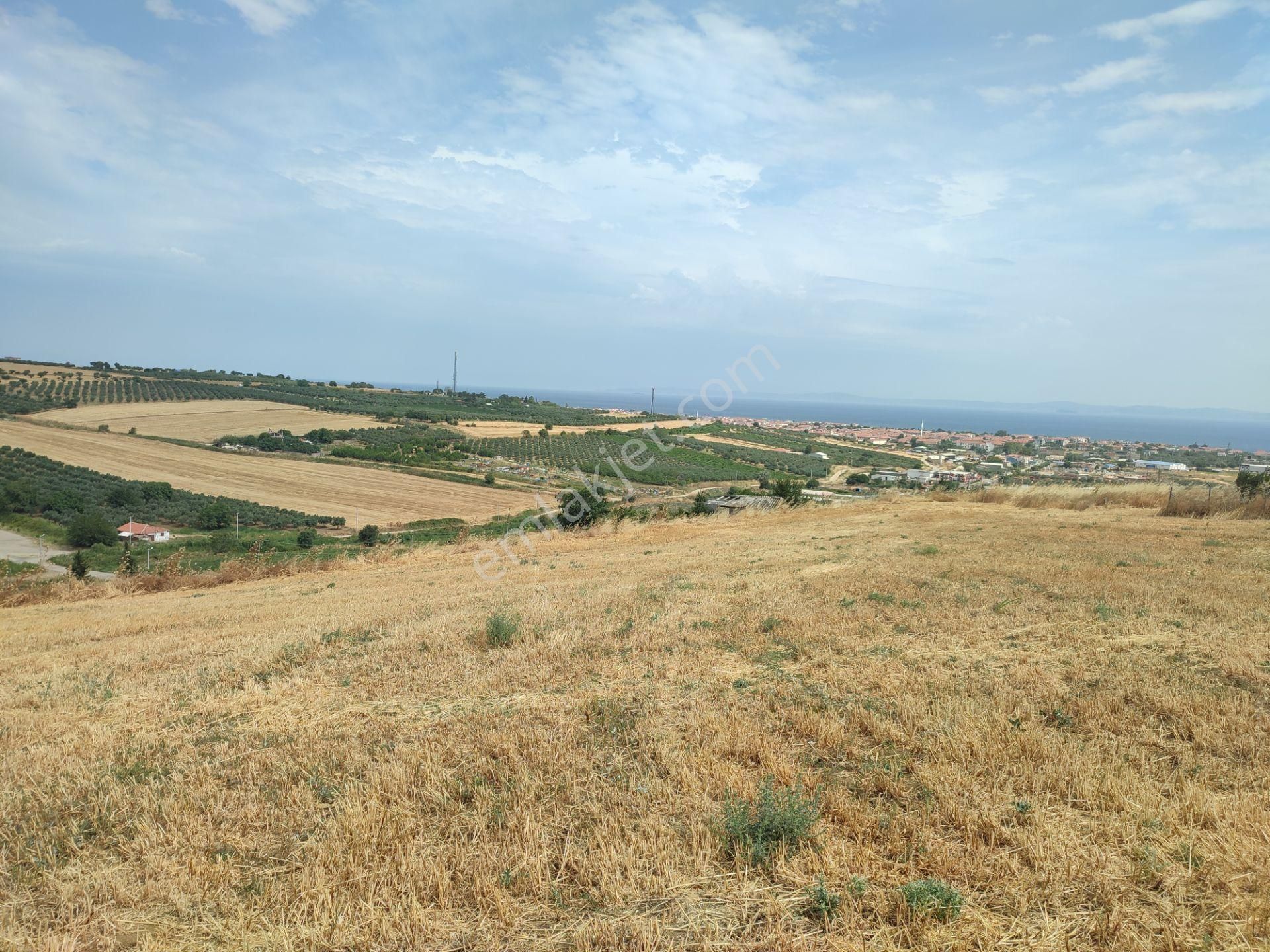 Bulut Yatırımdan 300 M² % 25 İmarlı Deniz Manzaralı Arsa - Görsel 32