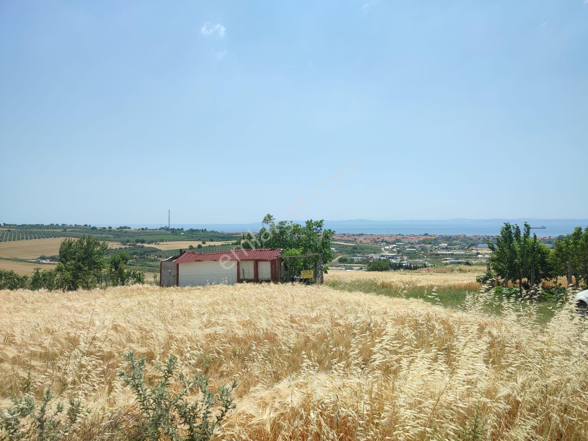 Bulut Yatırımdan 300 M² % 25 İmarlı Deniz Manzaralı Arsa - Görsel 17