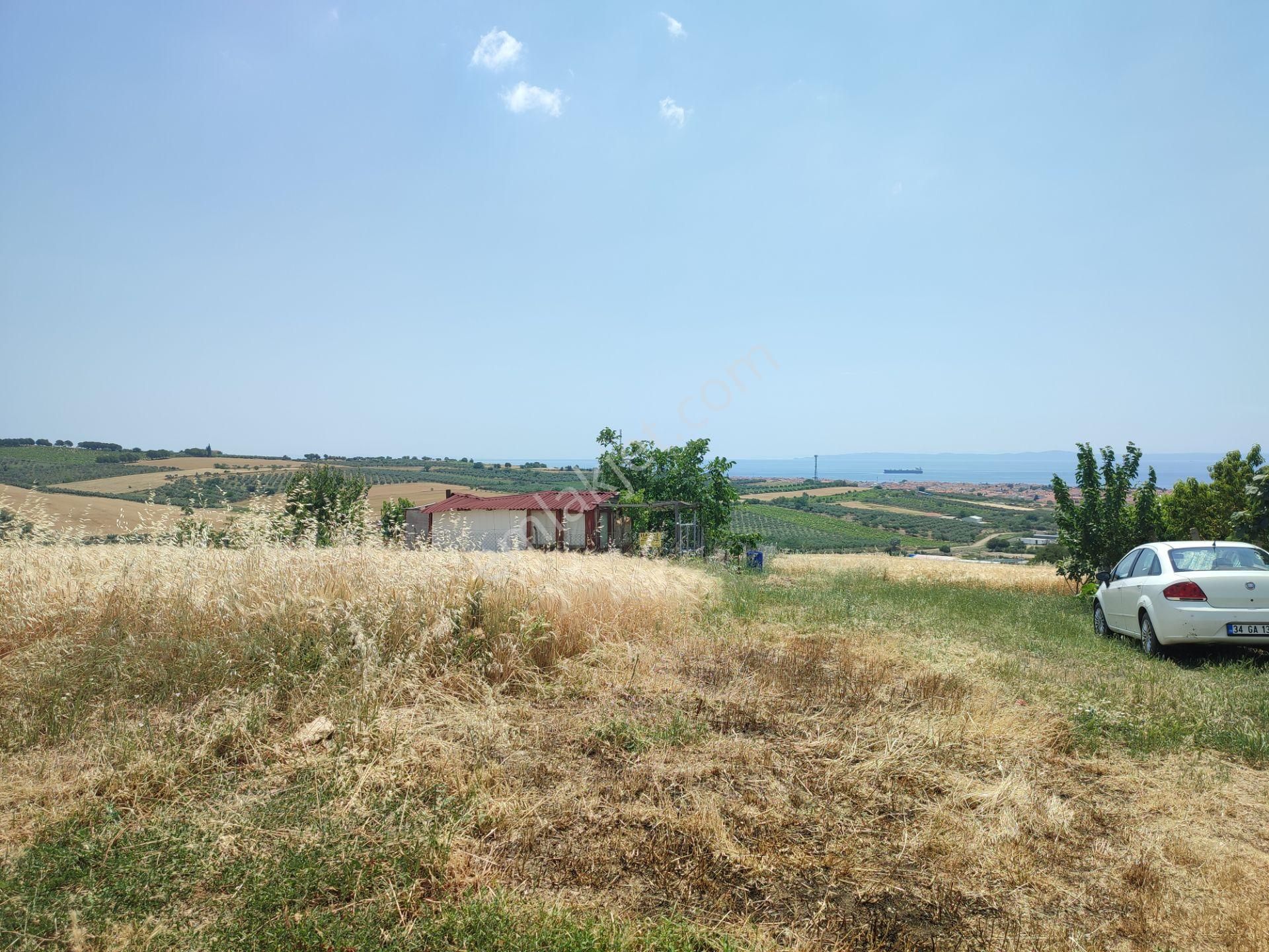 Bulut Yatırımdan 300 M² % 25 İmarlı Deniz Manzaralı Arsa - Görsel 2