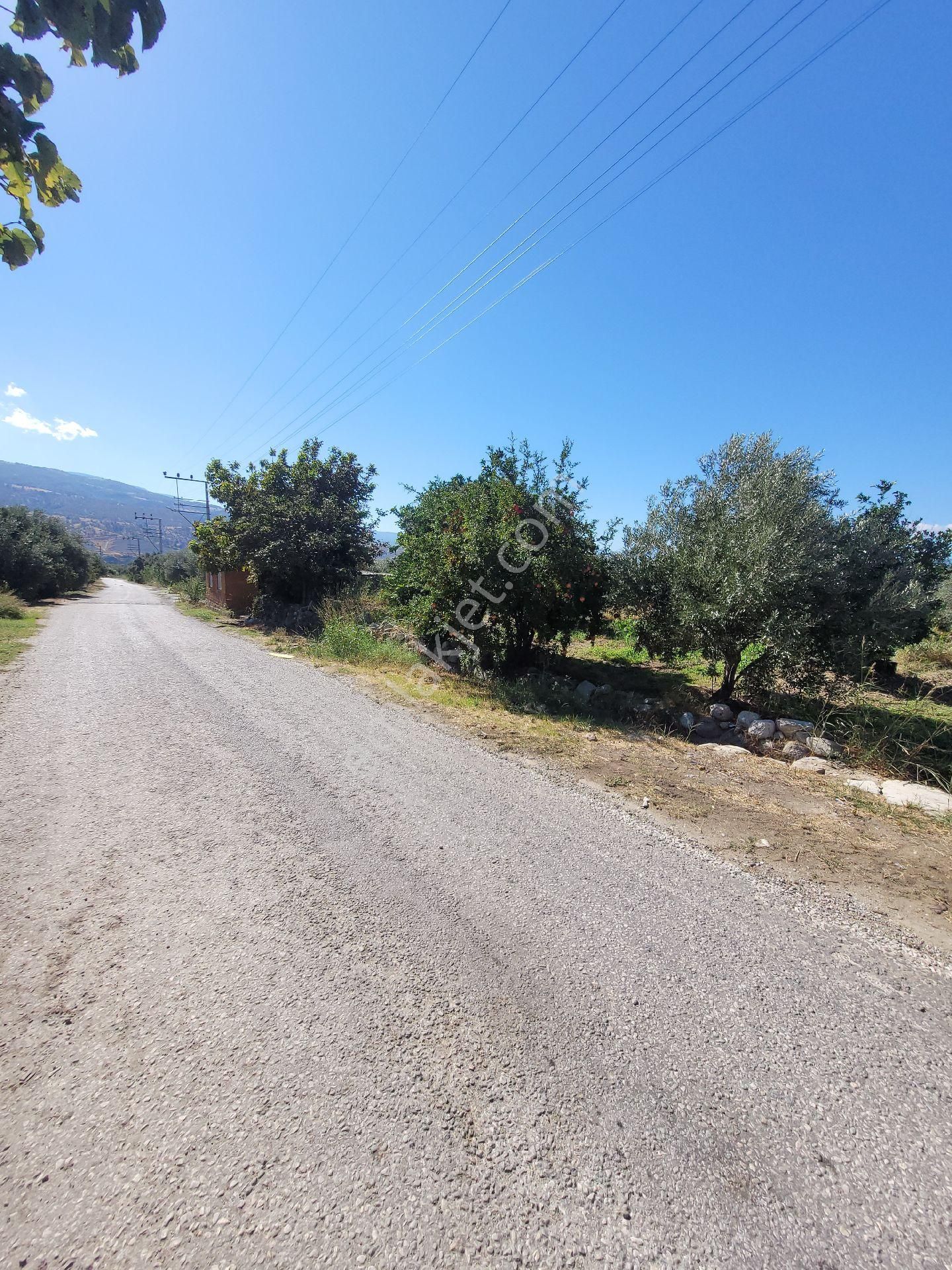 Buharkent Feslekte 1737 M2 Hobi Bahçemiz Satılıktır - Görsel 8