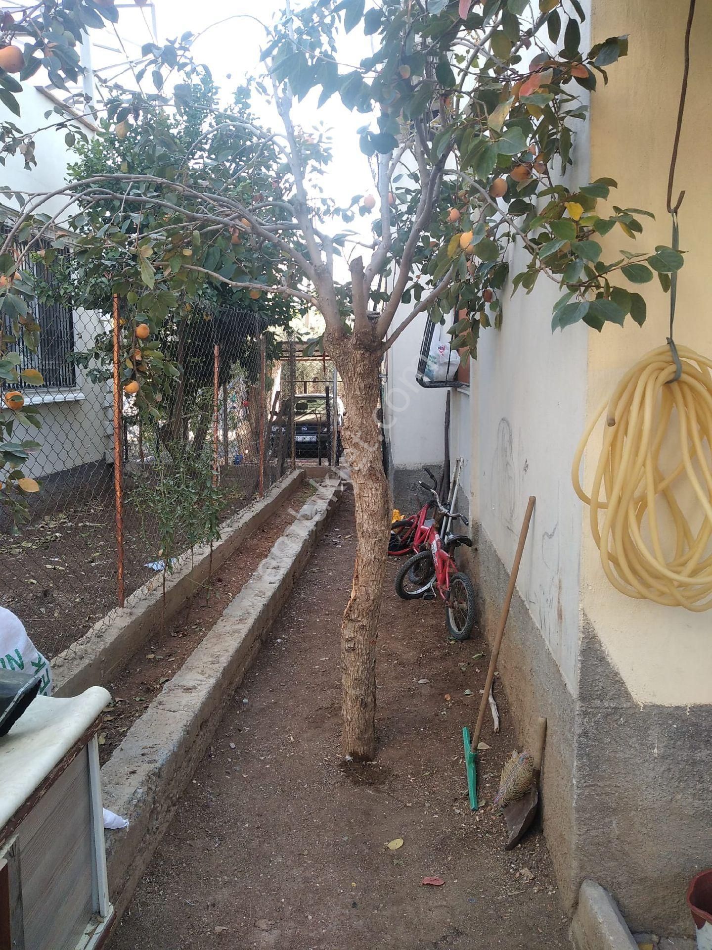 Yıldırım Beyazit Mahallesinde Tek Katli İskanlı Kombili Krediye Uygun Müstakil Ev