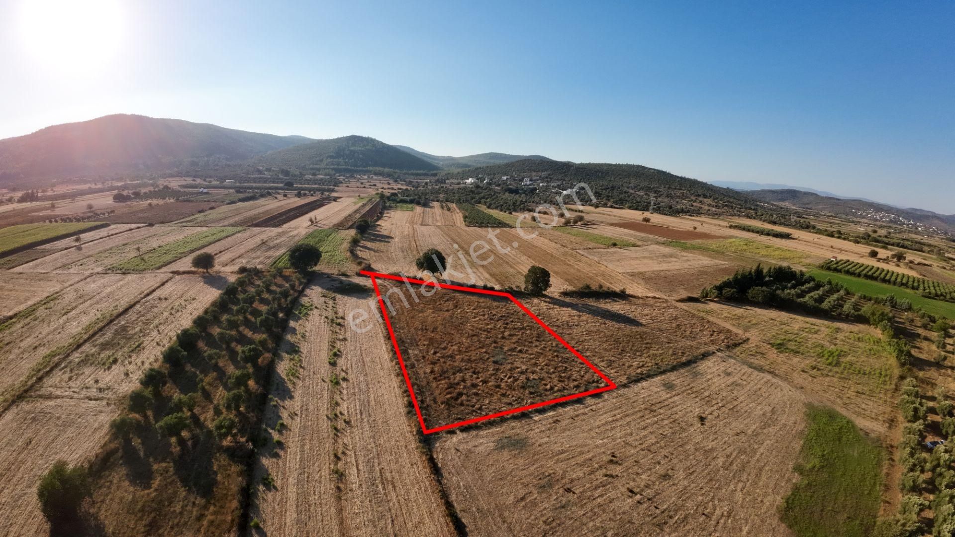 Bodrum Sazköy Su Sorunu Yok, Yola Yakın 3185 M² Tarım Arazisi - Görsel 4