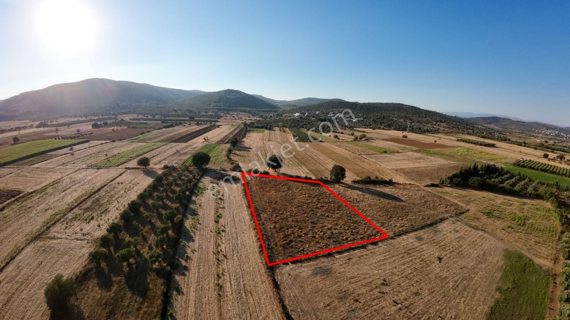 Bodrum Sazköy Su Sorunu Yok, Yola Yakın 3185 M² Tarım Arazisi - Görsel 3