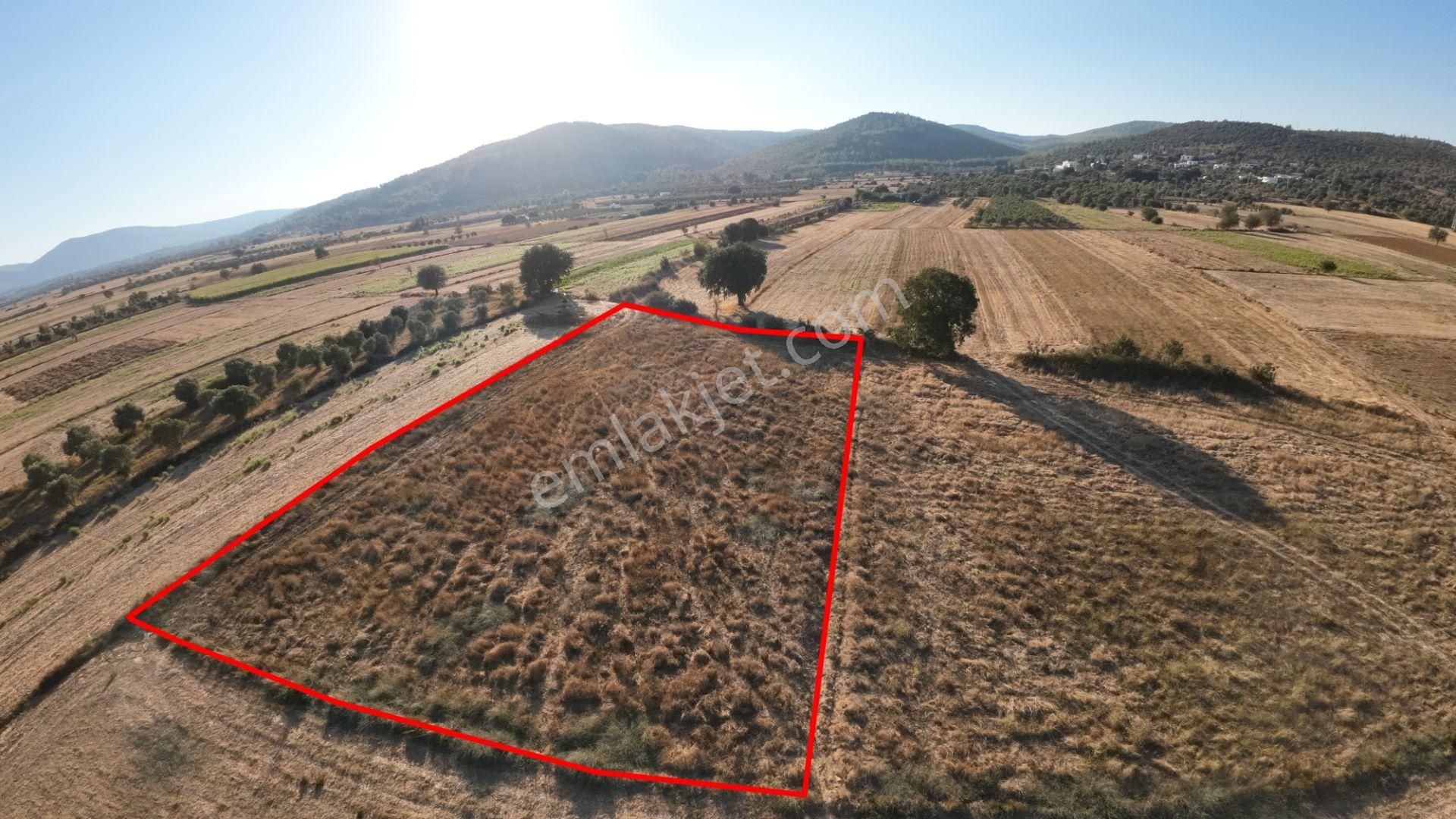 Bodrum Sazköy Su Sorunu Yok, Yola Yakın 3185 M² Tarım Arazisi - Görsel 6