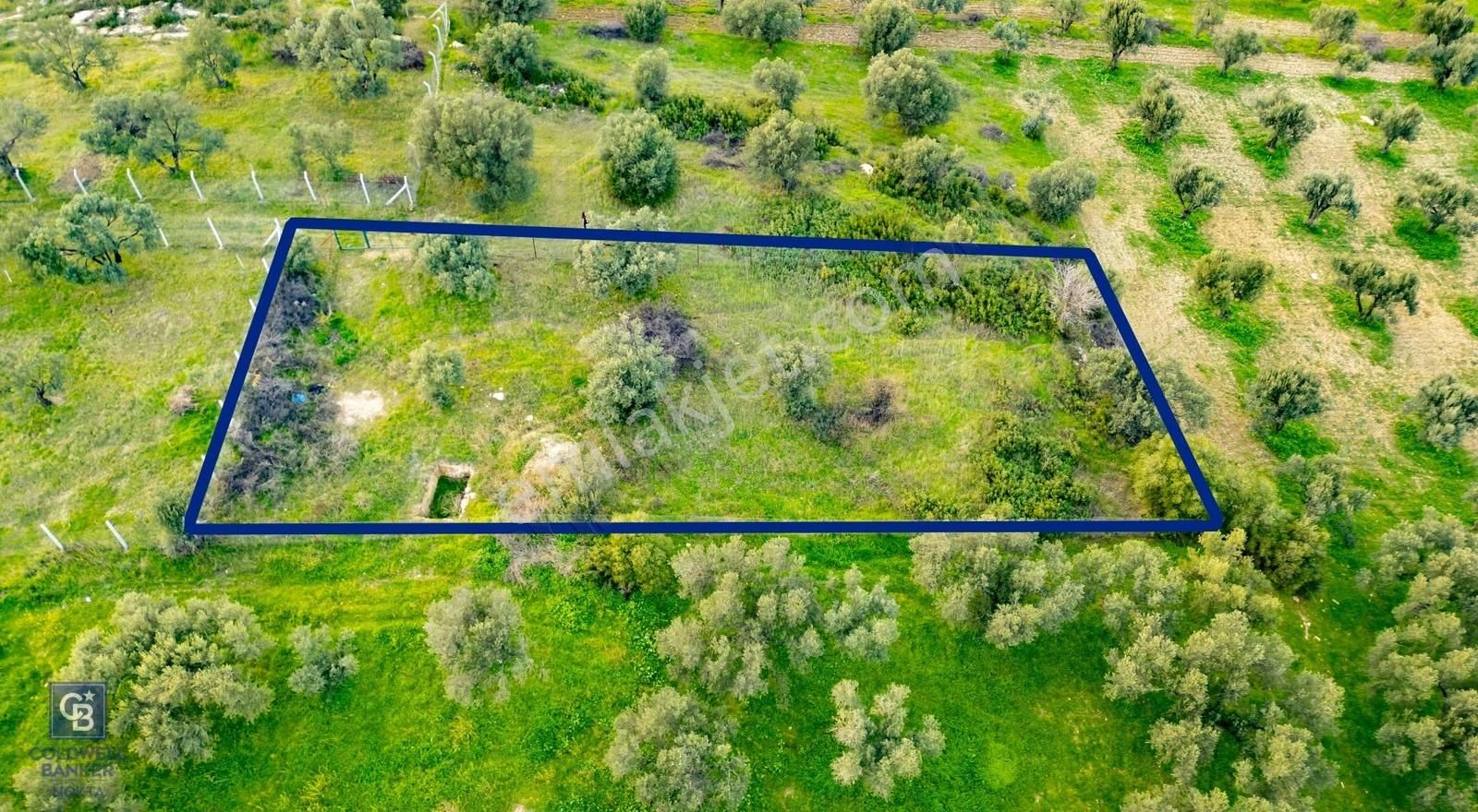 Foça Gerenköy'de Satılık Tarla - Görsel 15