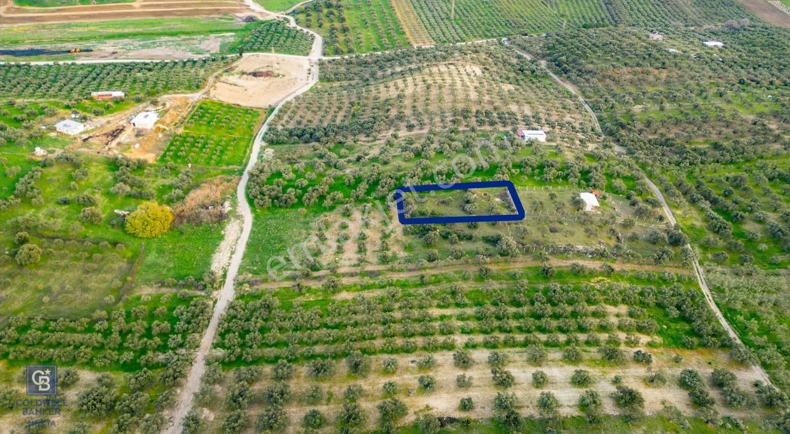 Foça Gerenköy'de Satılık Tarla - Görsel 7