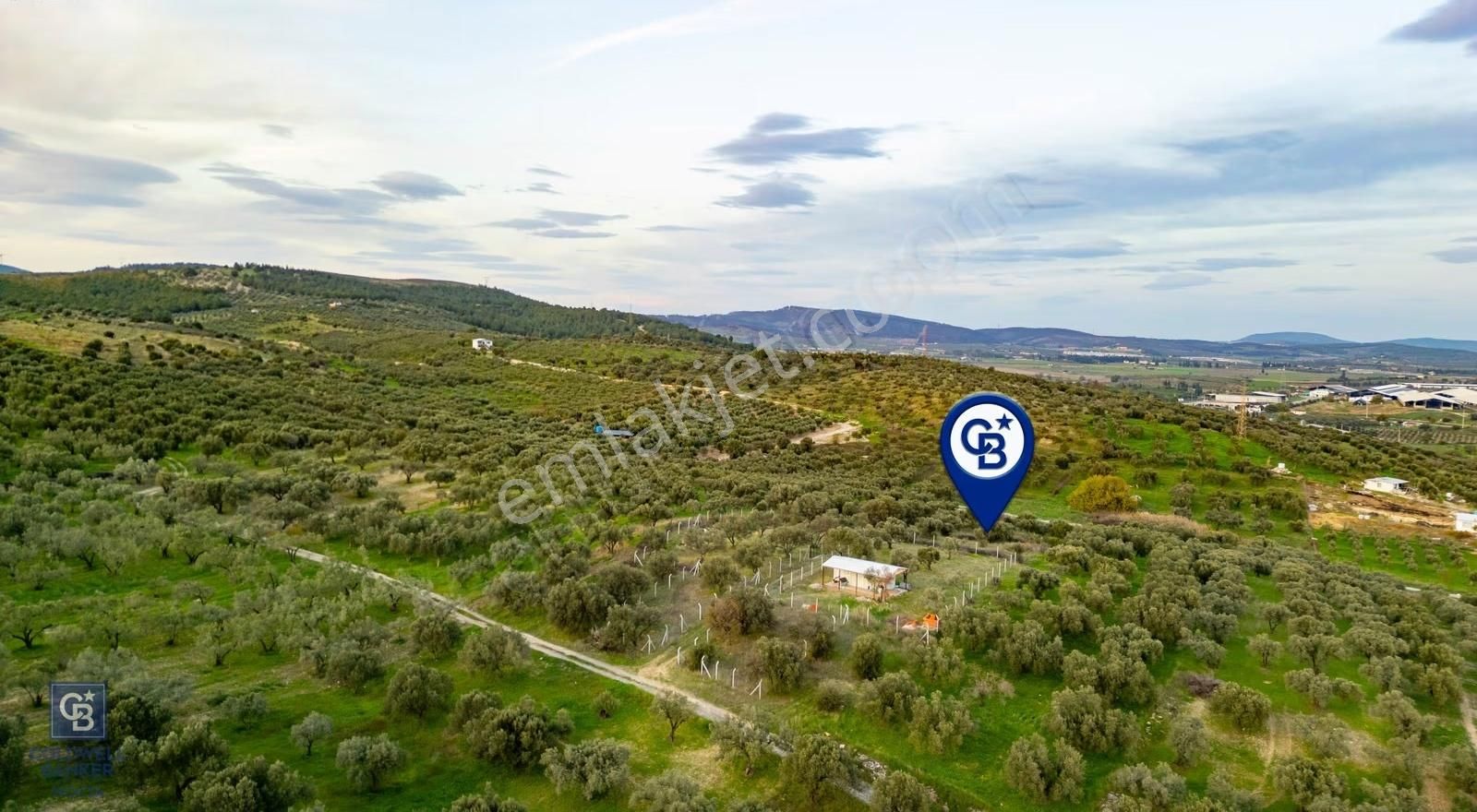 Foça Gerenköy'de Satılık Tarla - Görsel 2