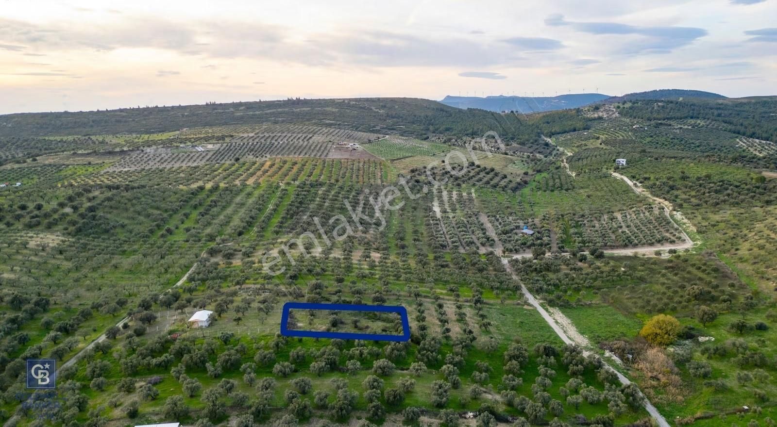 Foça Gerenköy'de Satılık Tarla - Görsel 9