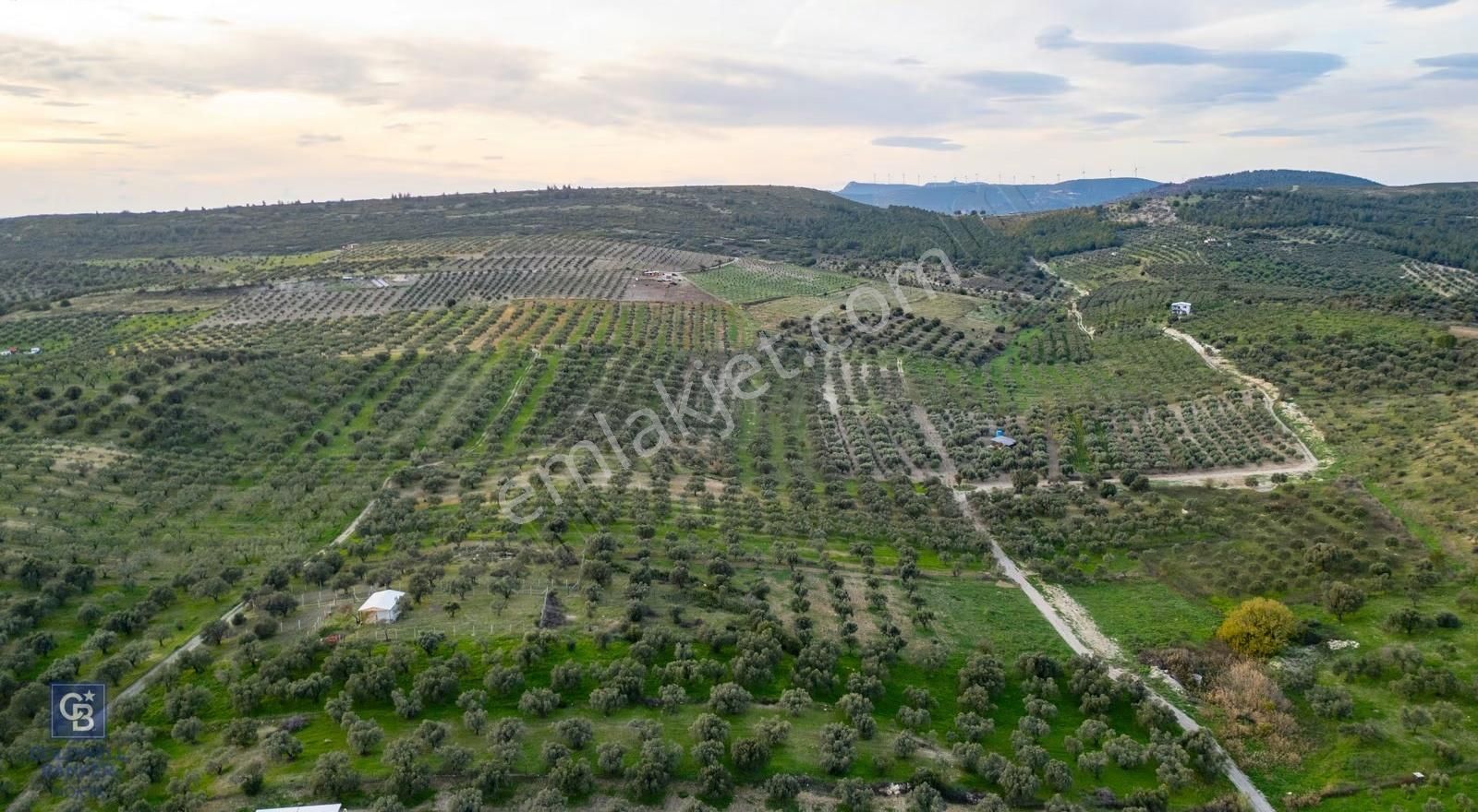 Foça Gerenköy'de Satılık Tarla - Görsel 21